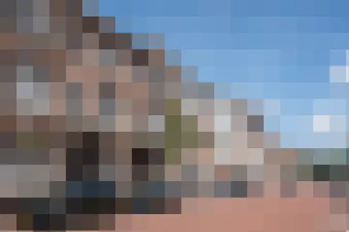 Theresiastraat 222 A Den Haag thumbnail 37