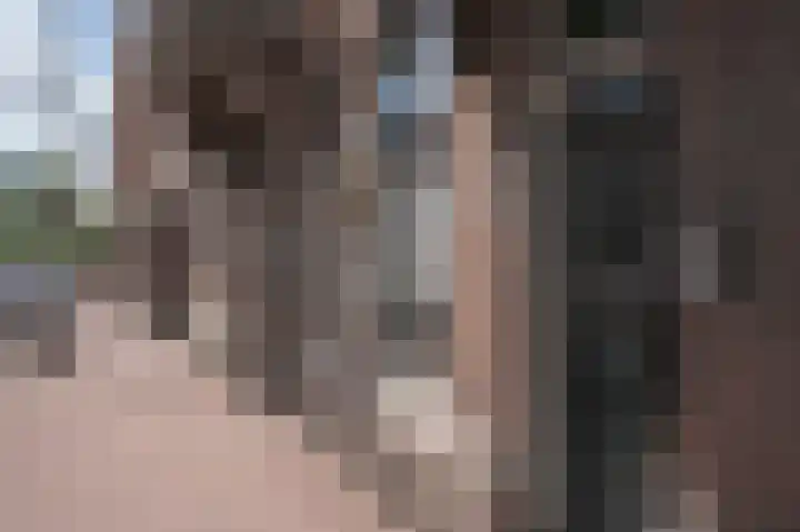 Theresiastraat 222 A Den Haag thumbnail 4