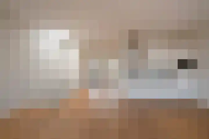 Theresiastraat 222 A Den Haag thumbnail 8