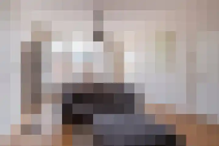 Theresiastraat 222 Den Haag thumbnail 10