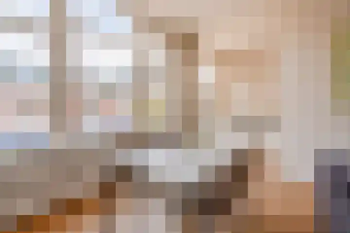 Theresiastraat 222 Den Haag thumbnail 13