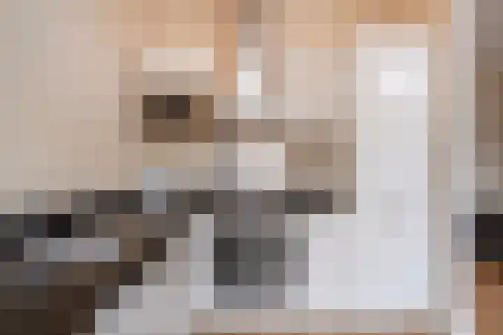 Theresiastraat 222 Den Haag thumbnail 17