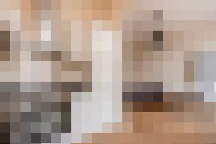 Theresiastraat 222 Den Haag thumbnail 18