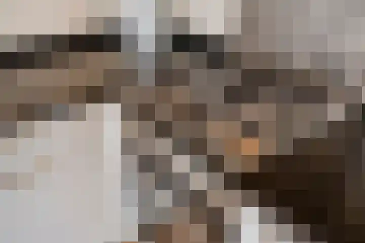 Theresiastraat 222 Den Haag thumbnail 19