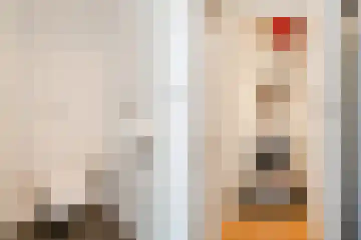 Theresiastraat 222 Den Haag thumbnail 25