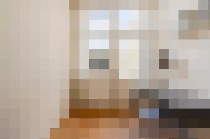 Theresiastraat 222 Den Haag thumbnail 30