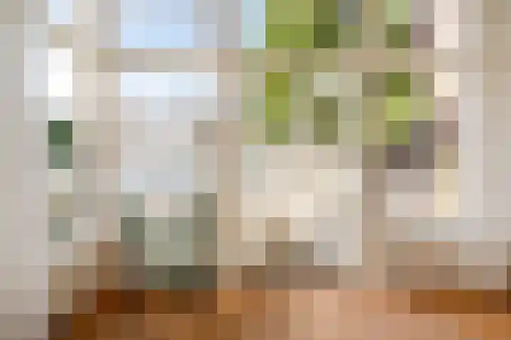 Theresiastraat 222 Den Haag thumbnail 33