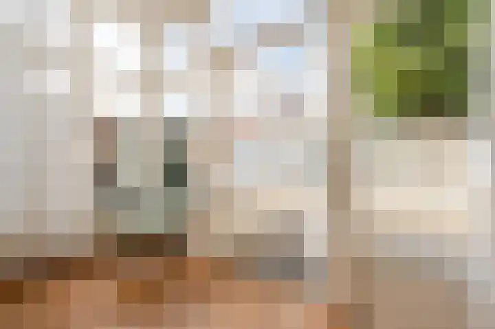Theresiastraat 222 Den Haag thumbnail 34