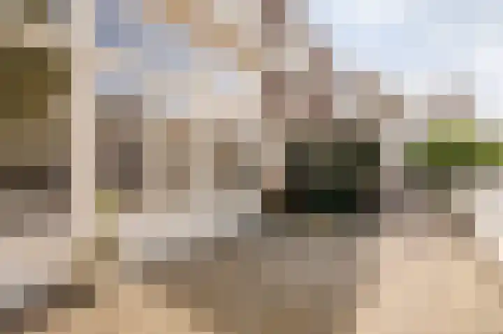 Theresiastraat 222 Den Haag thumbnail 35