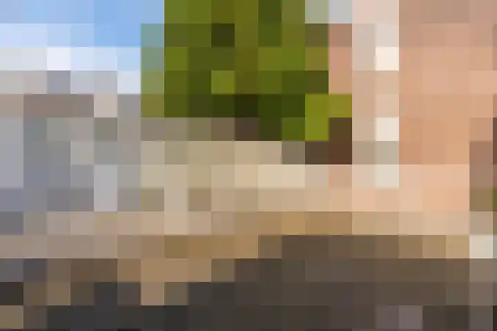 Theresiastraat 222 Den Haag thumbnail 36