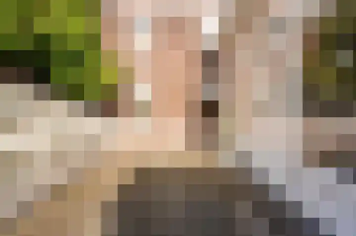 Theresiastraat 222 Den Haag thumbnail 37