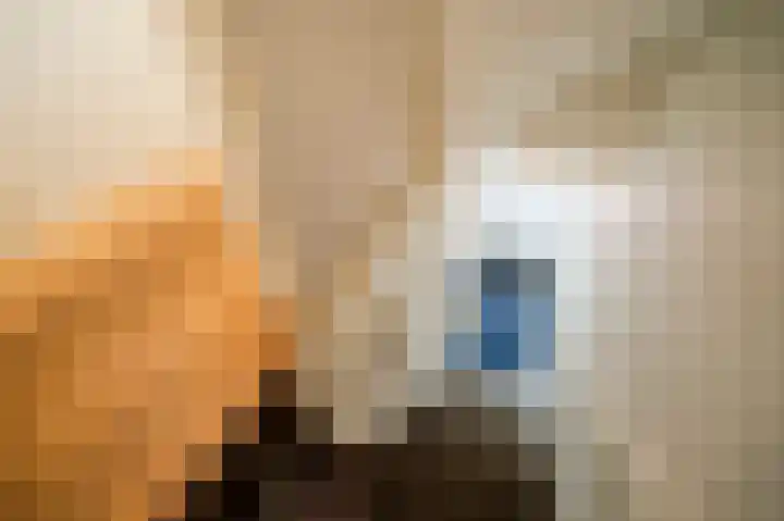 Theresiastraat 222 Den Haag thumbnail 38