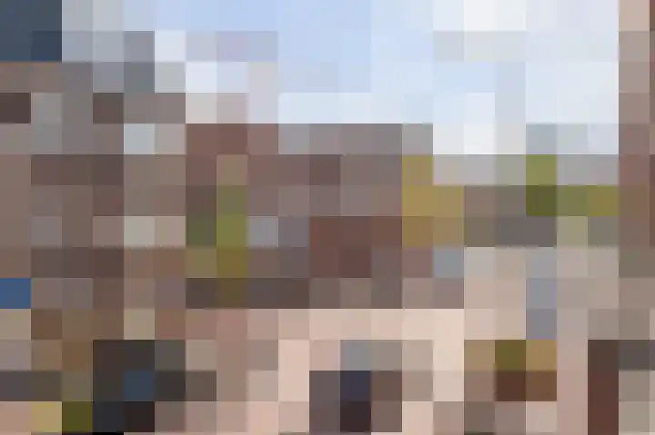 Theresiastraat 222 Den Haag thumbnail 39