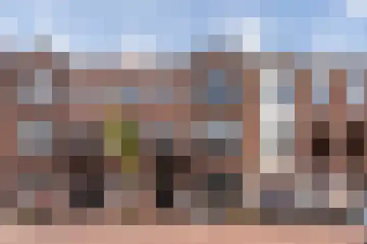 Theresiastraat 222 Den Haag thumbnail 40