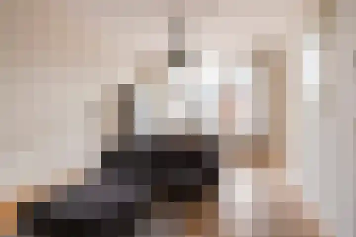 Theresiastraat 222 Den Haag thumbnail 7