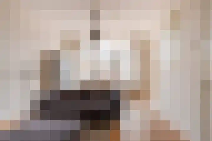 Theresiastraat 222 Den Haag thumbnail 8