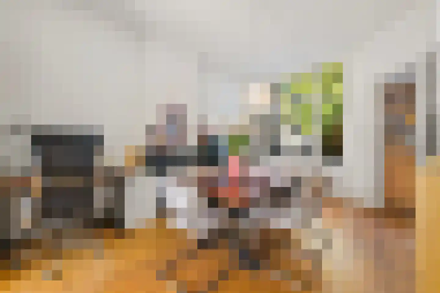 Theresiastraat 228 Den Haag thumbnail 11