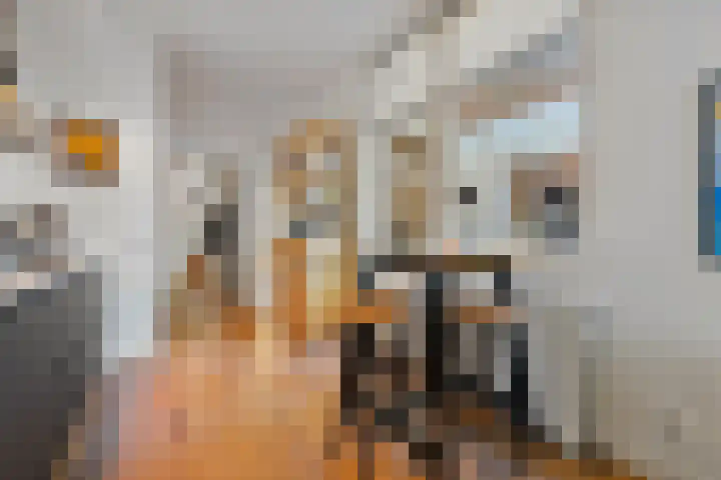 Theresiastraat 228 Den Haag thumbnail 16