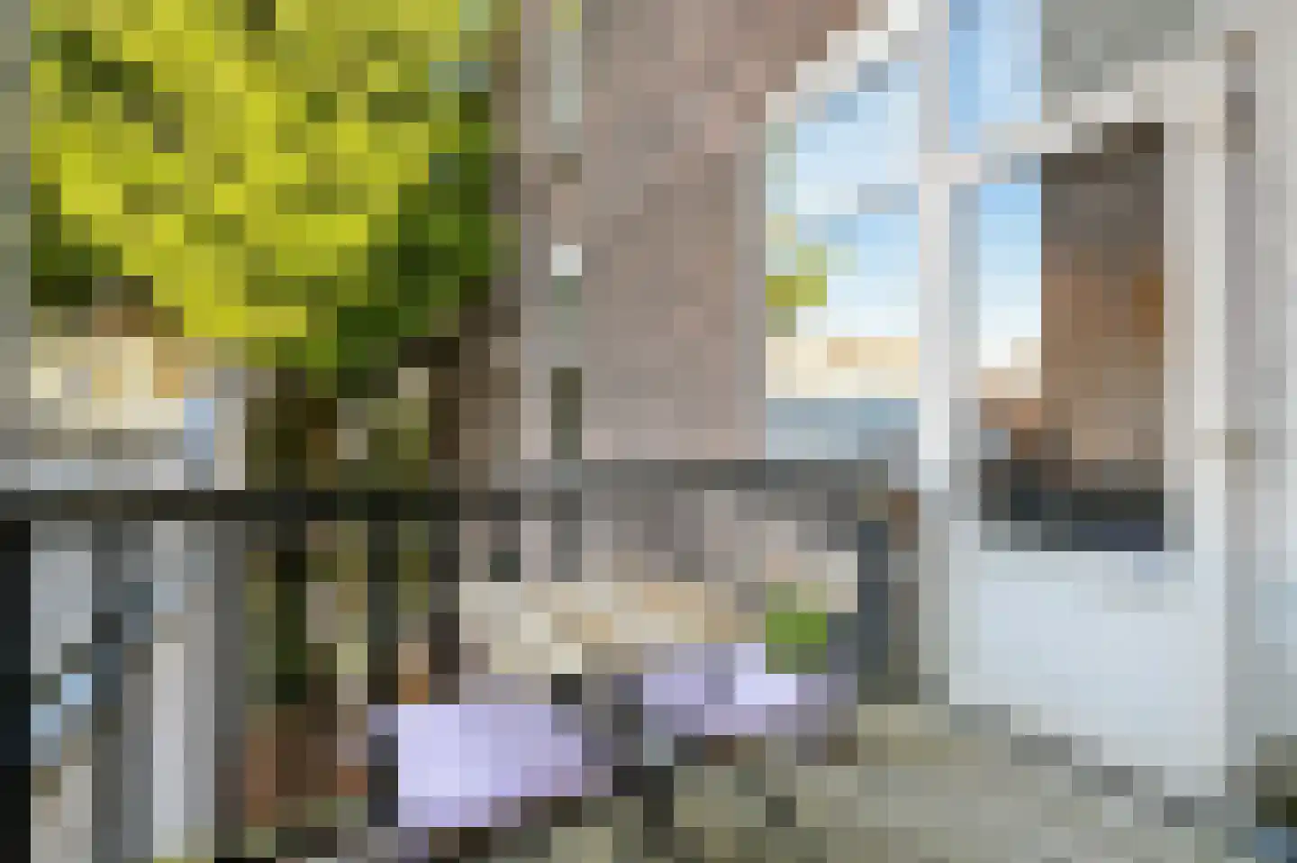 Theresiastraat 228 Den Haag thumbnail 17