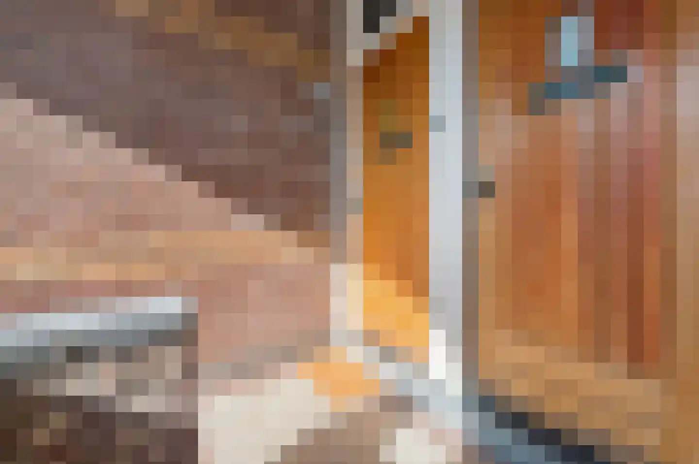 Theresiastraat 228 Den Haag thumbnail 32