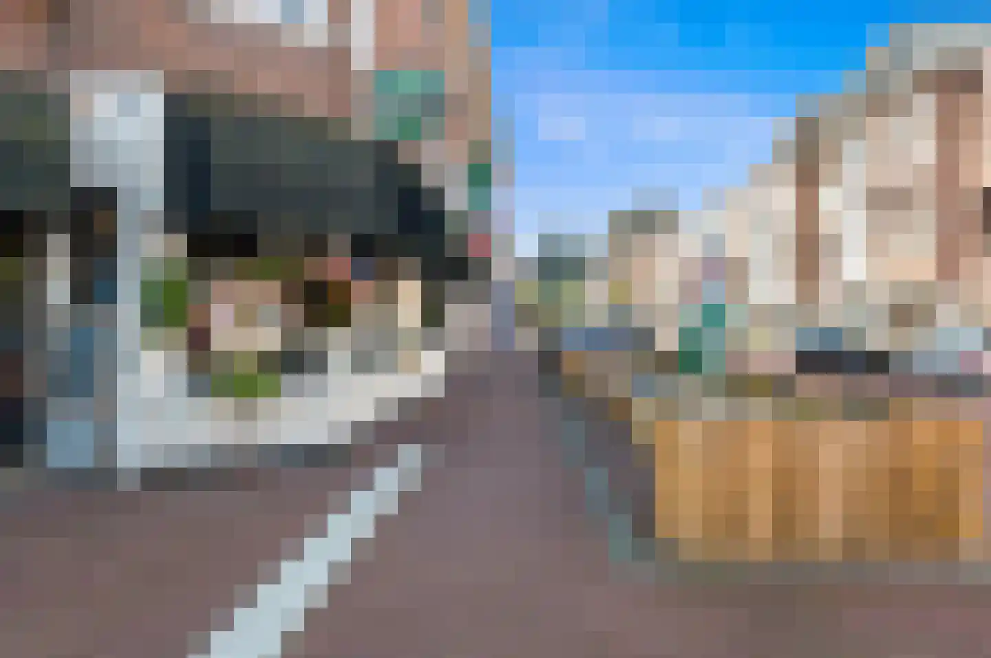 Theresiastraat 228 Den Haag thumbnail 39