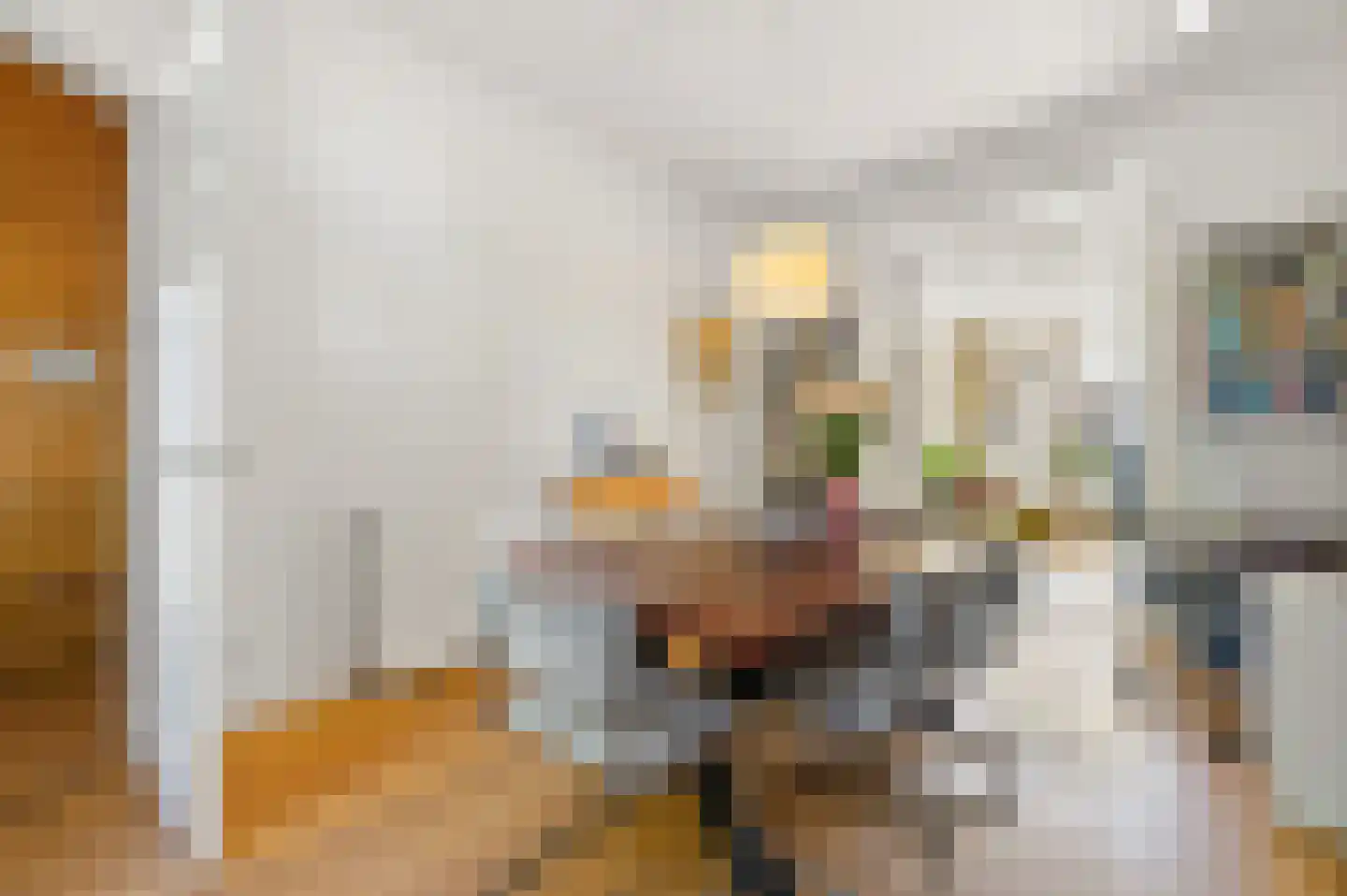 Theresiastraat 228 Den Haag thumbnail 5