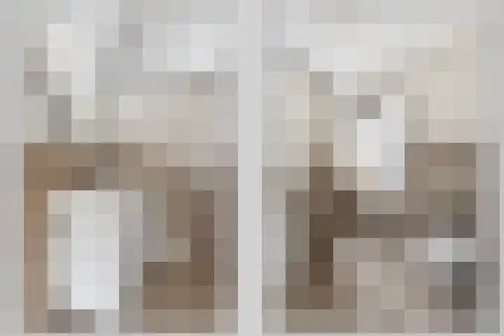 Theresiastraat 25 Borne thumbnail 12