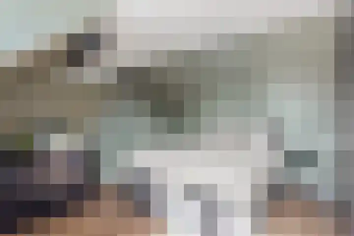 Theresiastraat 25 Borne thumbnail 16