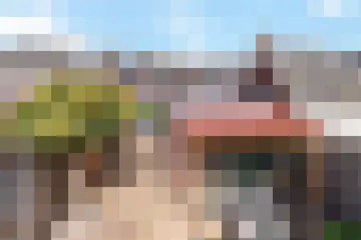 Theresiastraat 25 Borne thumbnail 18