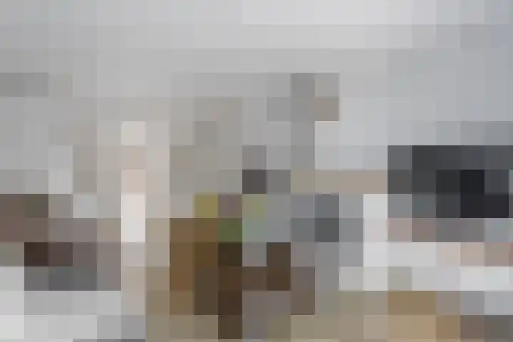 Theresiastraat 25 Borne thumbnail 8