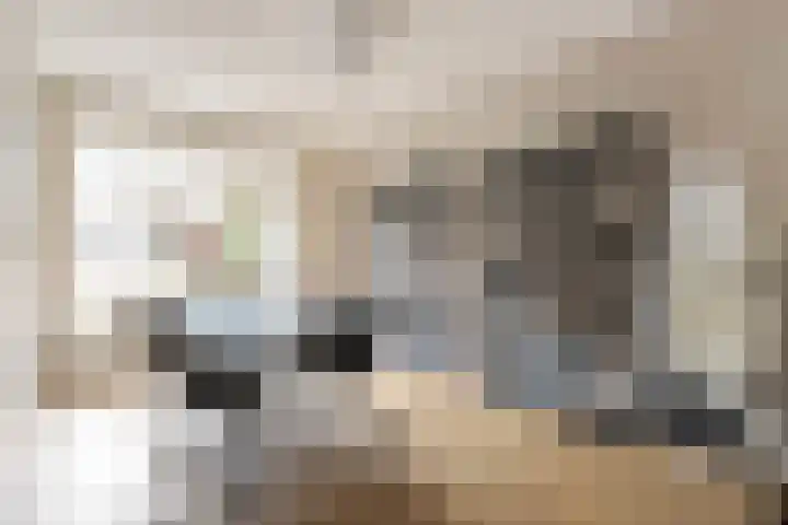 Theresiastraat 265 Den Haag thumbnail 10