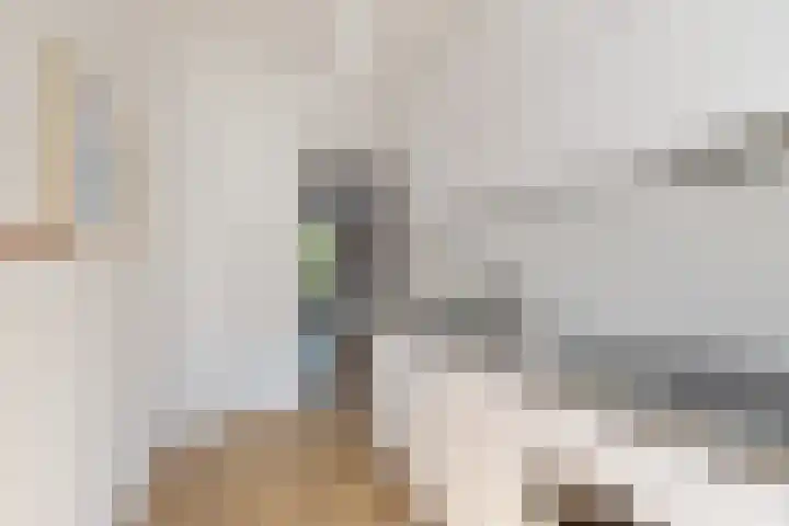 Theresiastraat 265 Den Haag thumbnail 15