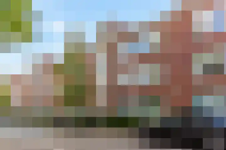 Theresiastraat 265 Den Haag thumbnail 27