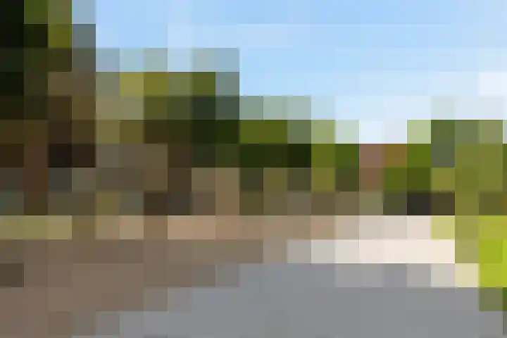 Theresiastraat 265 Den Haag thumbnail 31