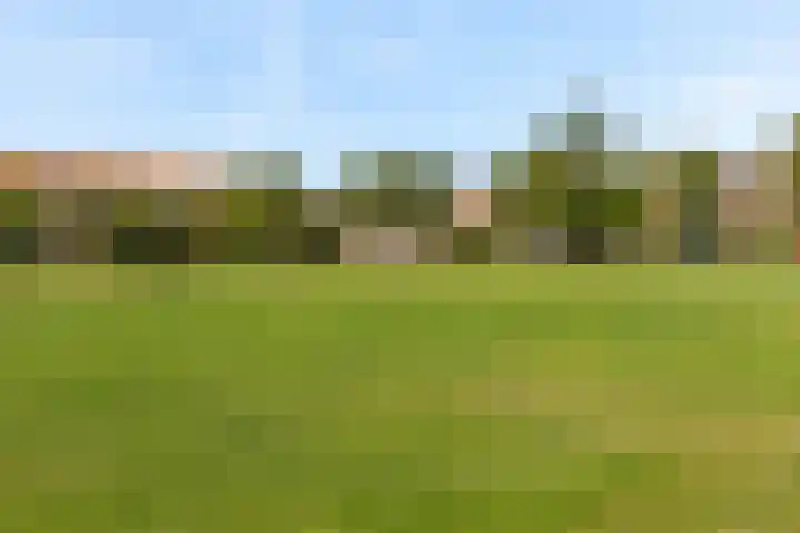Theresiastraat 265 Den Haag thumbnail 32