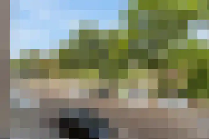 Theresiastraat 265 Den Haag thumbnail 5