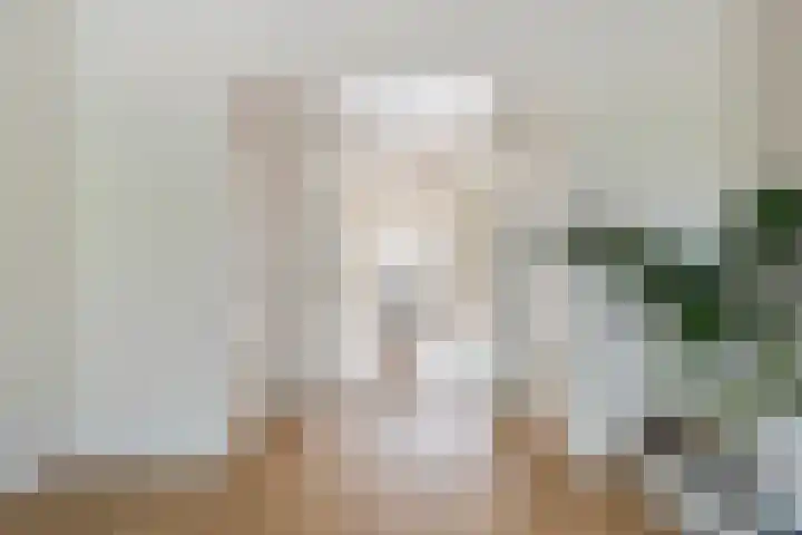 Theresiastraat 265 Den Haag thumbnail 8