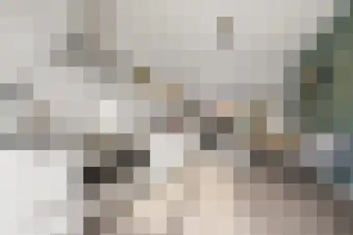 Theresiastraat 297 Den Haag thumbnail 10