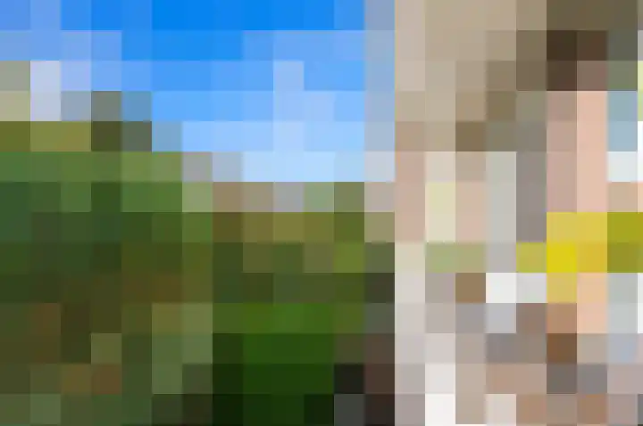 Theresiastraat 297 Den Haag thumbnail 13