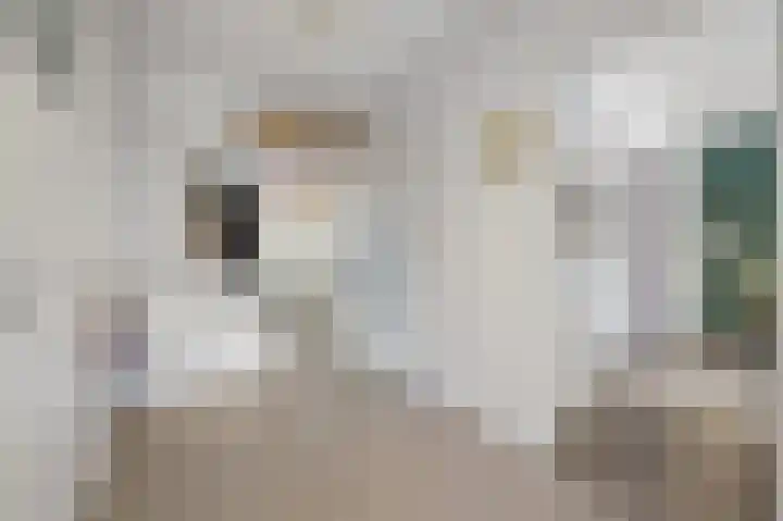 Theresiastraat 297 Den Haag thumbnail 18