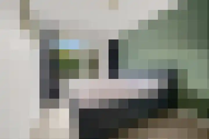 Theresiastraat 297 Den Haag thumbnail 25