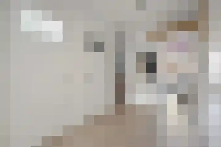 Theresiastraat 297 Den Haag thumbnail 8