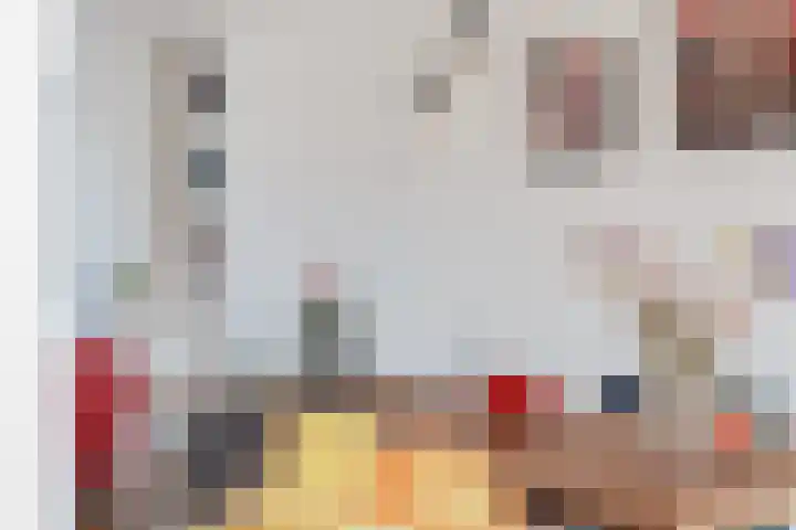 Theresiastraat 299 Den Haag thumbnail 18