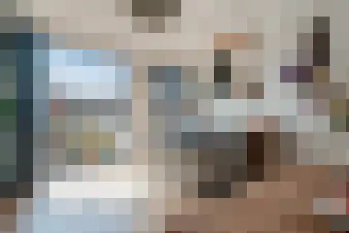 Theresiastraat 299 Den Haag thumbnail 19