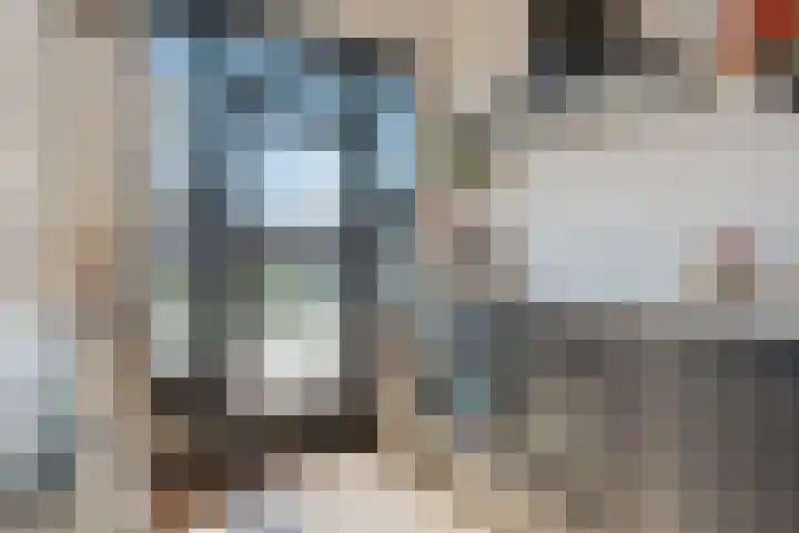 Theresiastraat 299 Den Haag thumbnail 23