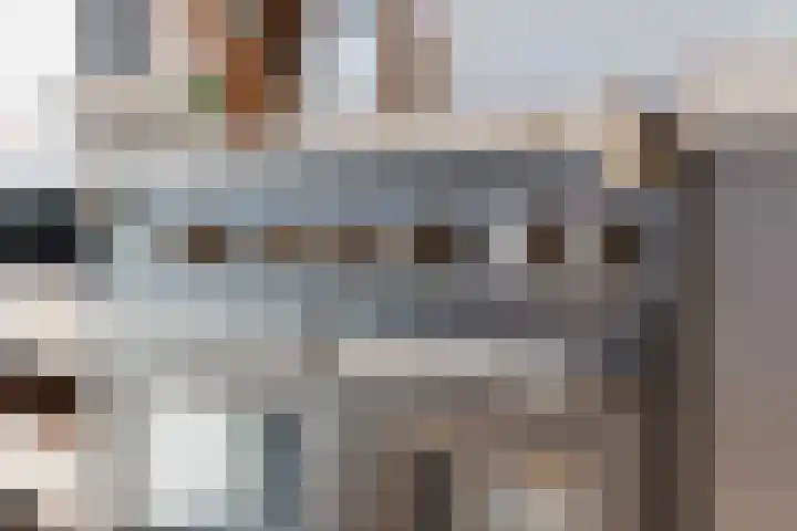 Theresiastraat 299 Den Haag thumbnail 25