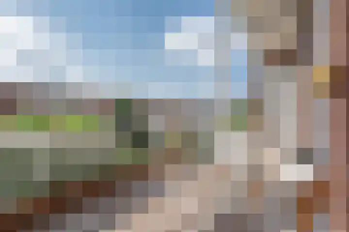 Theresiastraat 299 Den Haag thumbnail 30