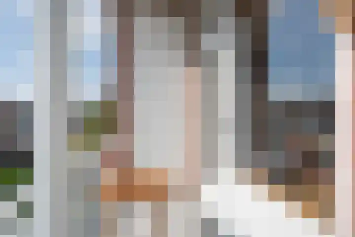 Theresiastraat 299 Den Haag thumbnail 31