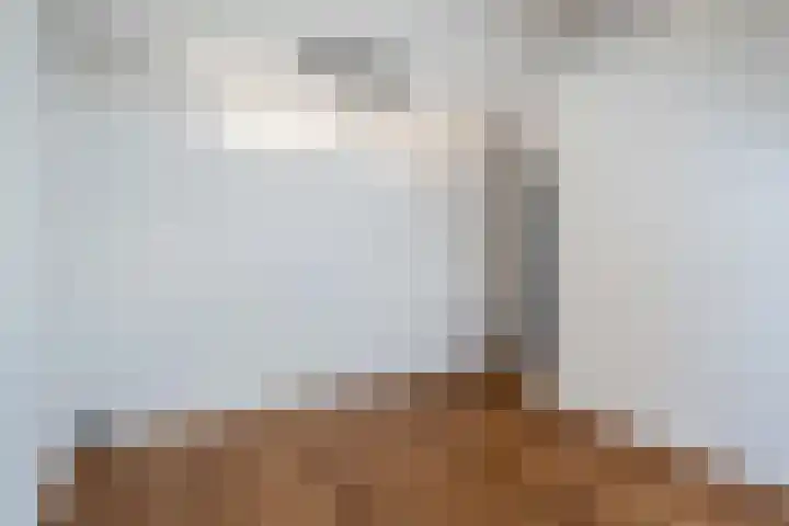 Theresiastraat 299 Den Haag thumbnail 42
