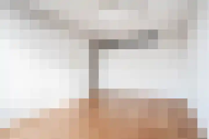 Theresiastraat 299 Den Haag thumbnail 45